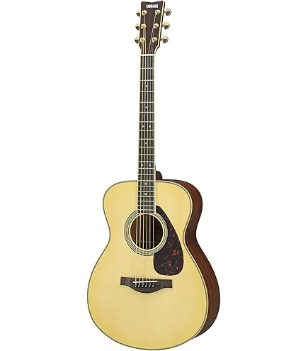 Amazon.com: Recording King 6 String Acoustic Guitar, Right